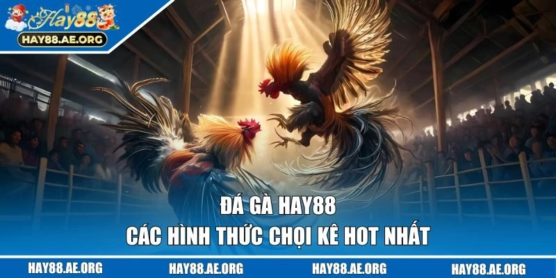 Các hình thức chọi kê hot nhất