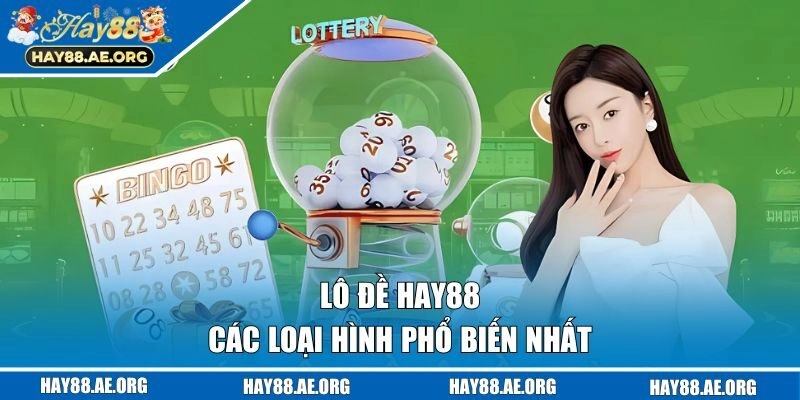 Các loại hình phổ biến nhất