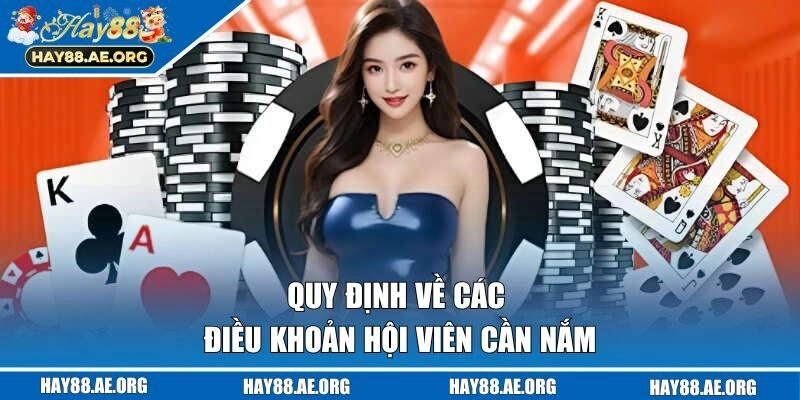 Quy định về các điều khoản hội viên cần nắm